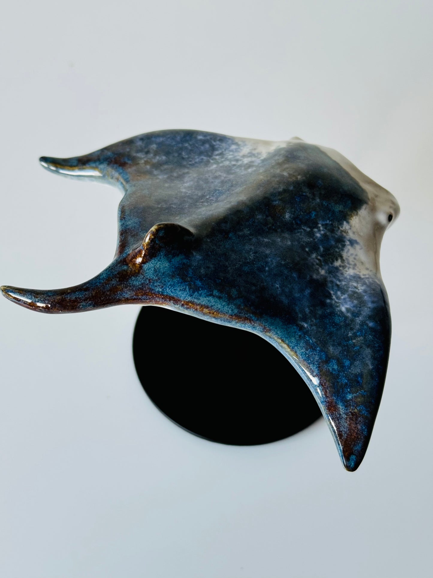 Manta Ray on a stand