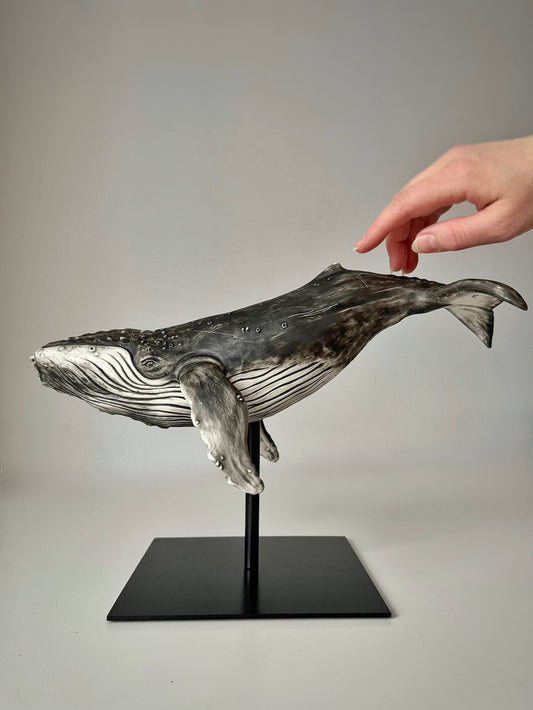 Big Humpback Whale