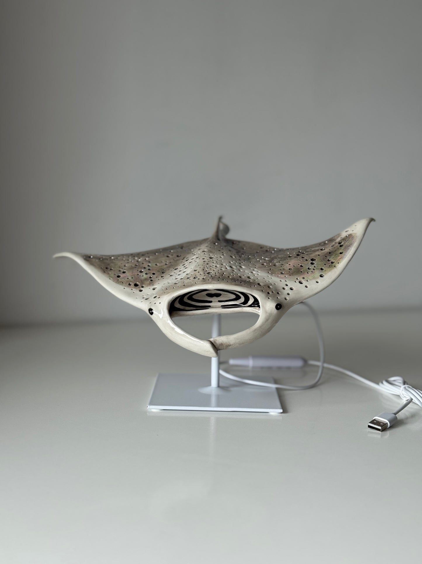 Big Manta Ray