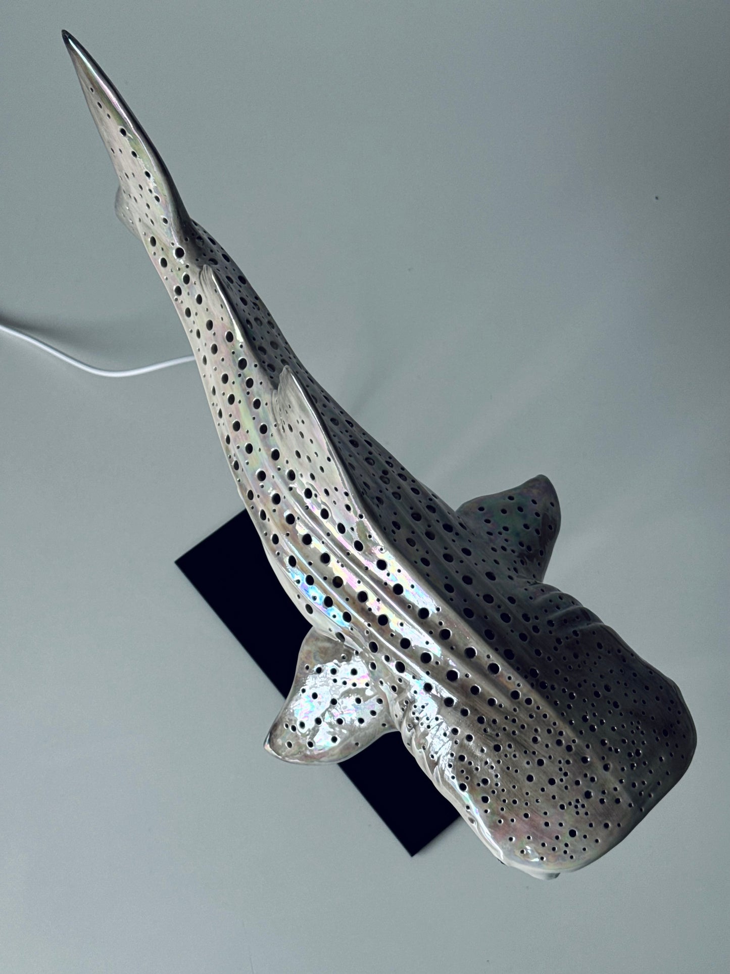 Shark Lamp