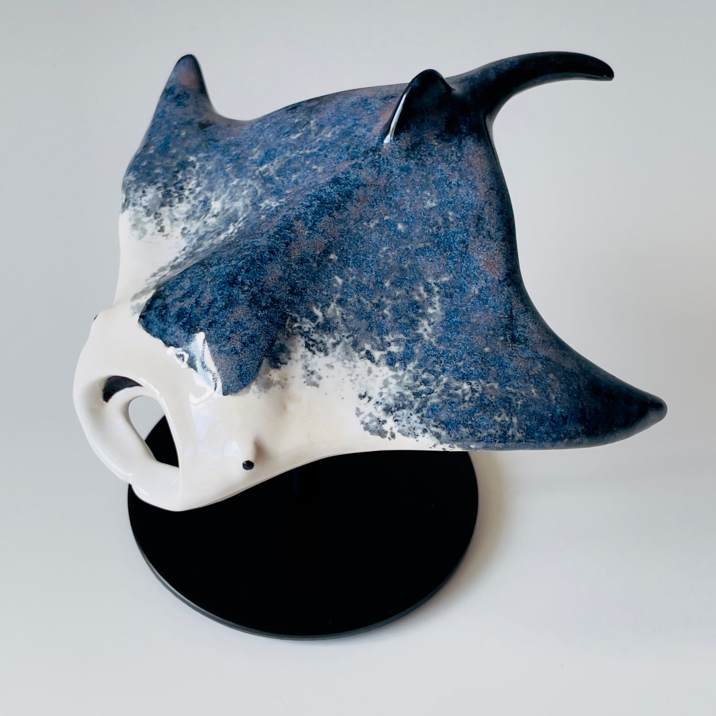 Manta Ray on a stand