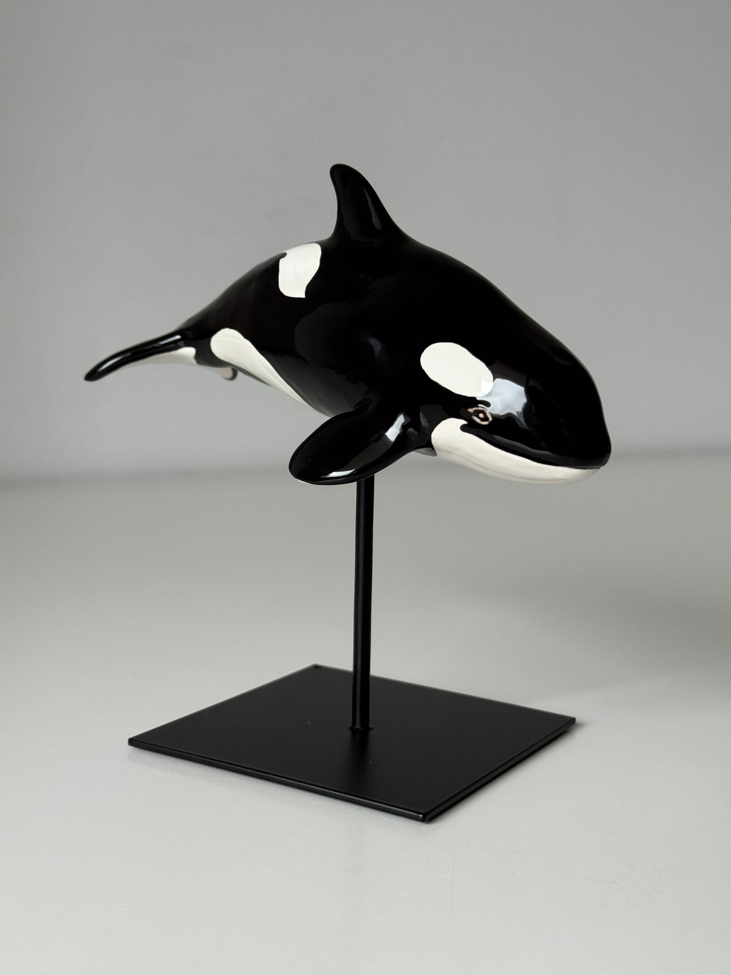 Baby Orca