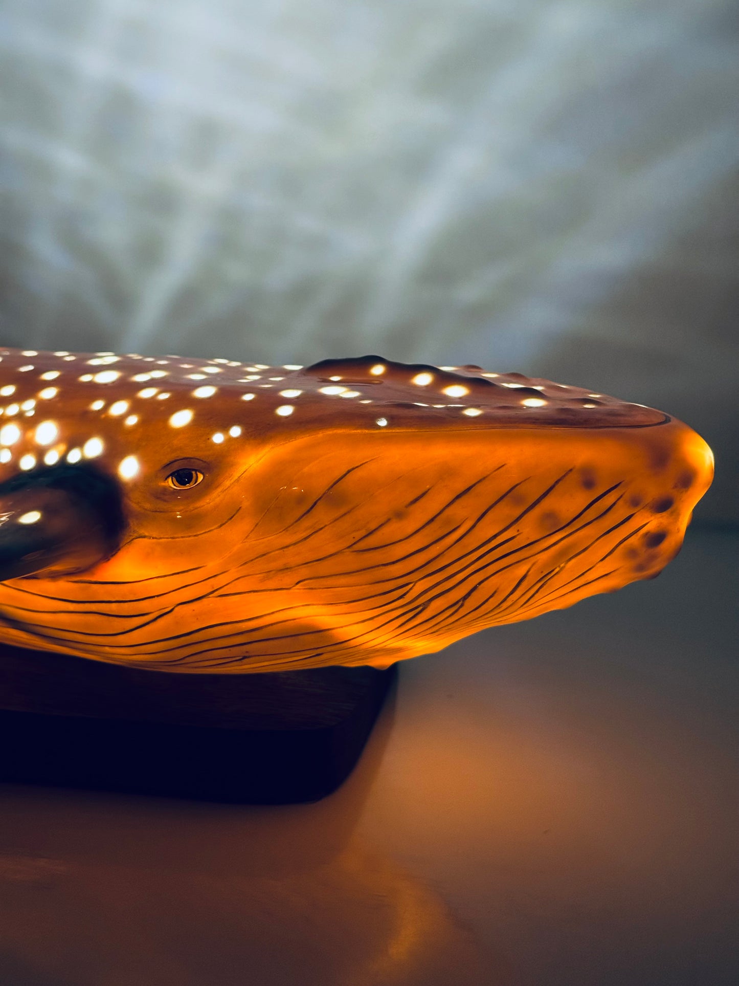 Whale Lamp