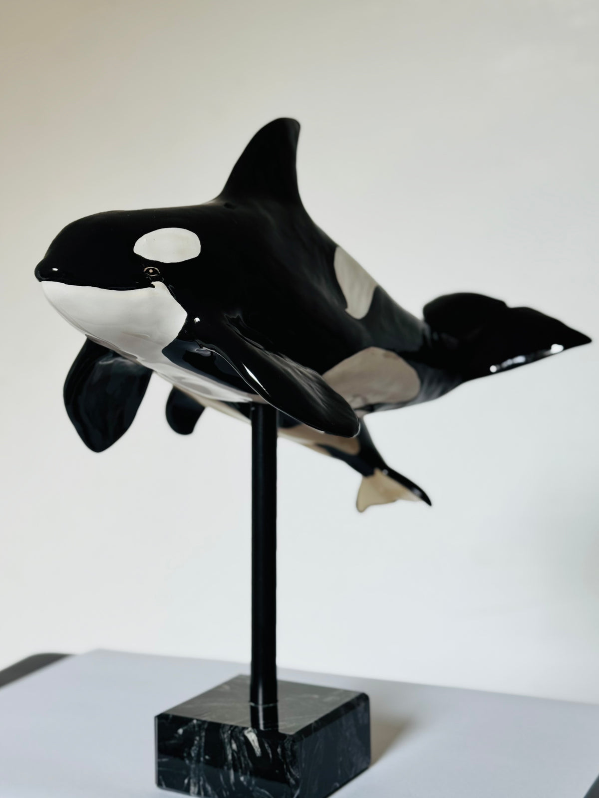 Mother and Calf Orcas