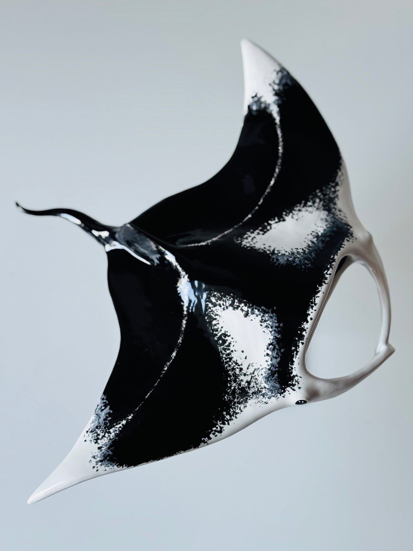 Big Manta Ray