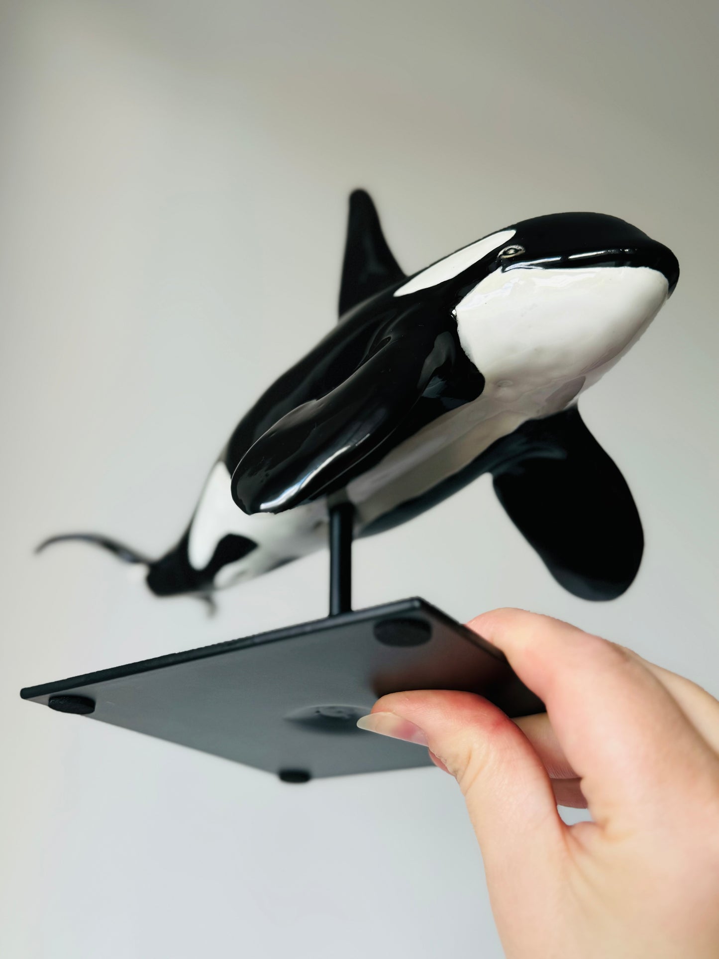 Male Orca on a stand