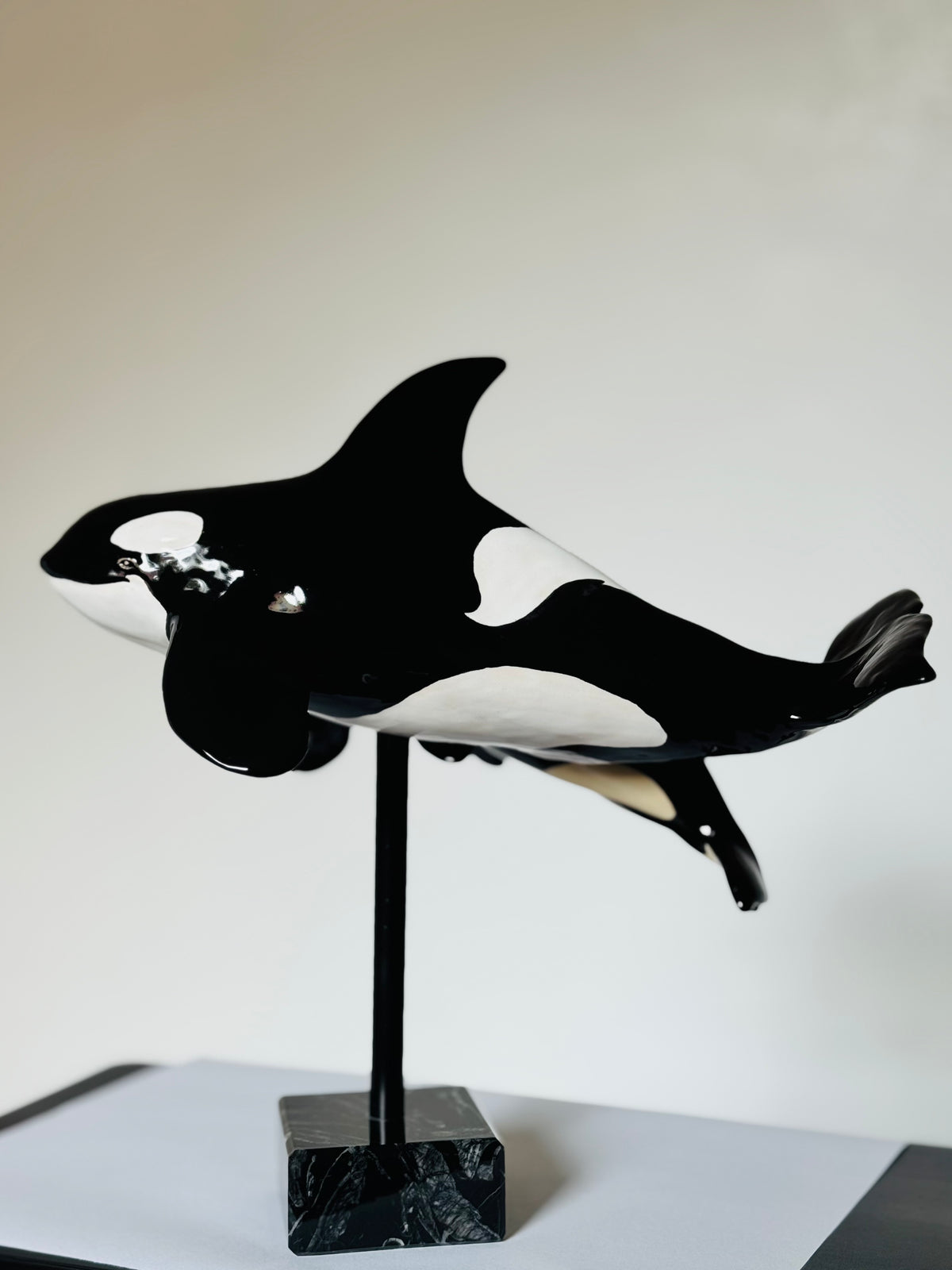 Mother and Calf Orcas