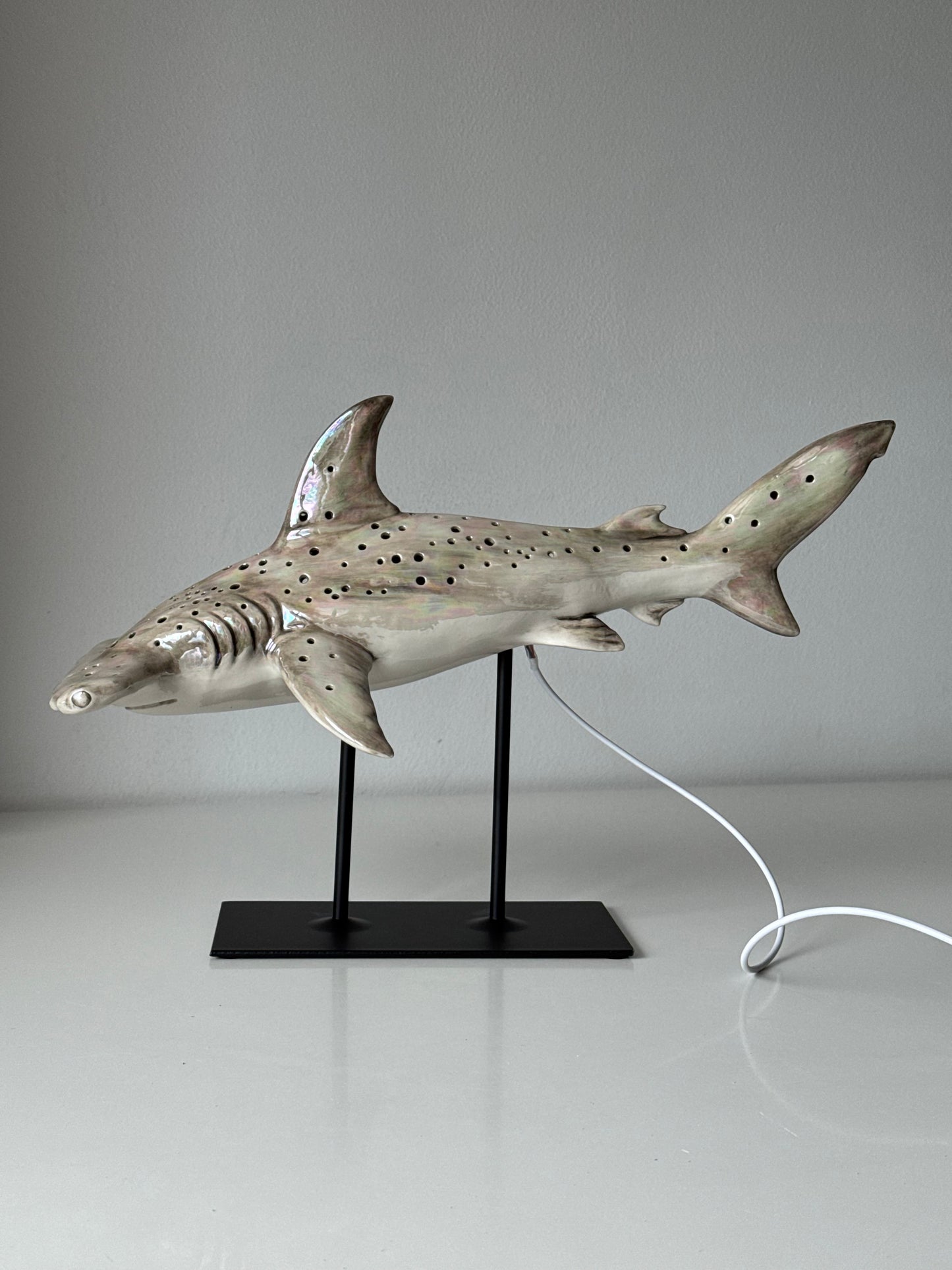 Hammerhead Shark Lamp