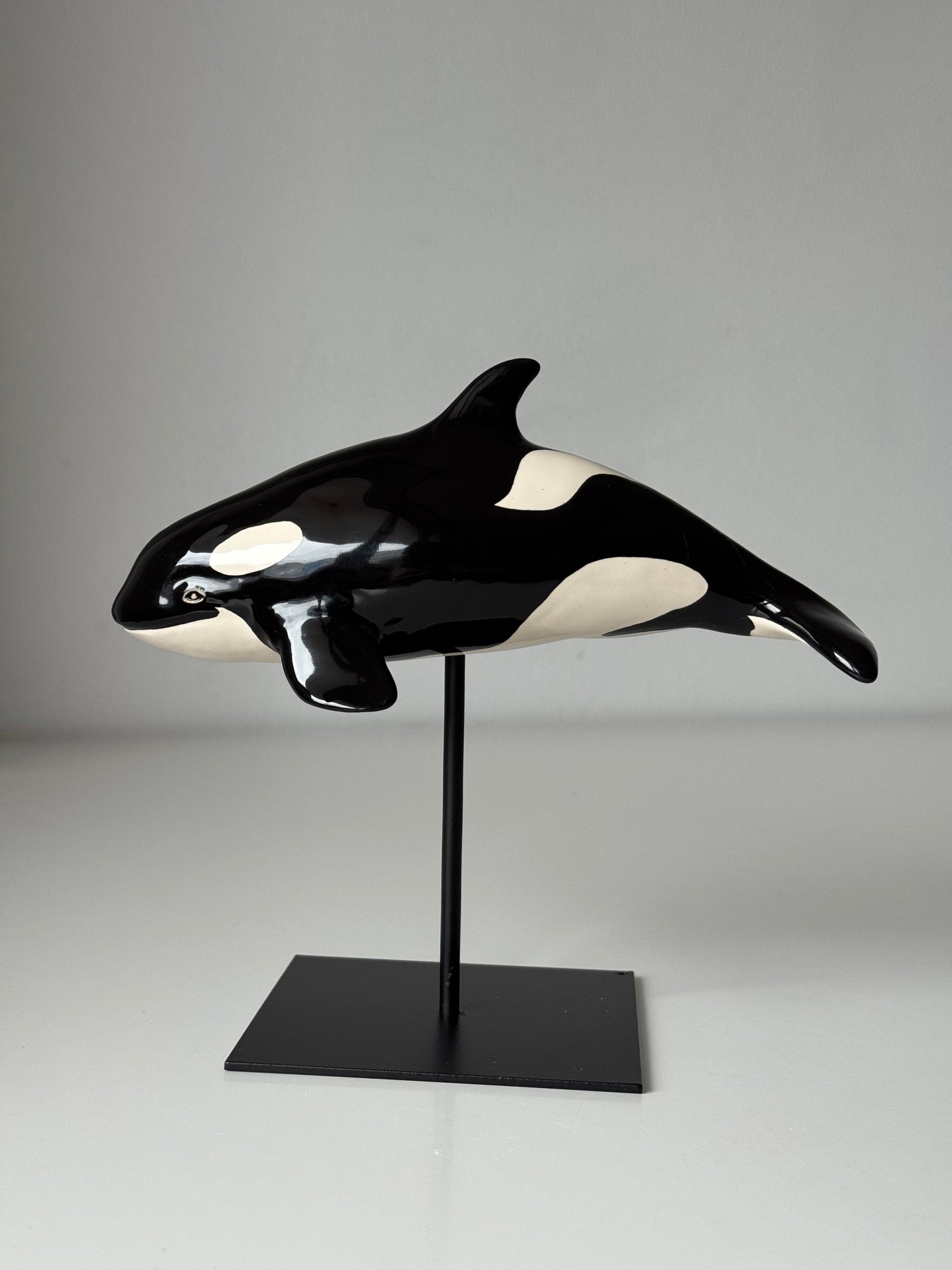 Baby Orca
