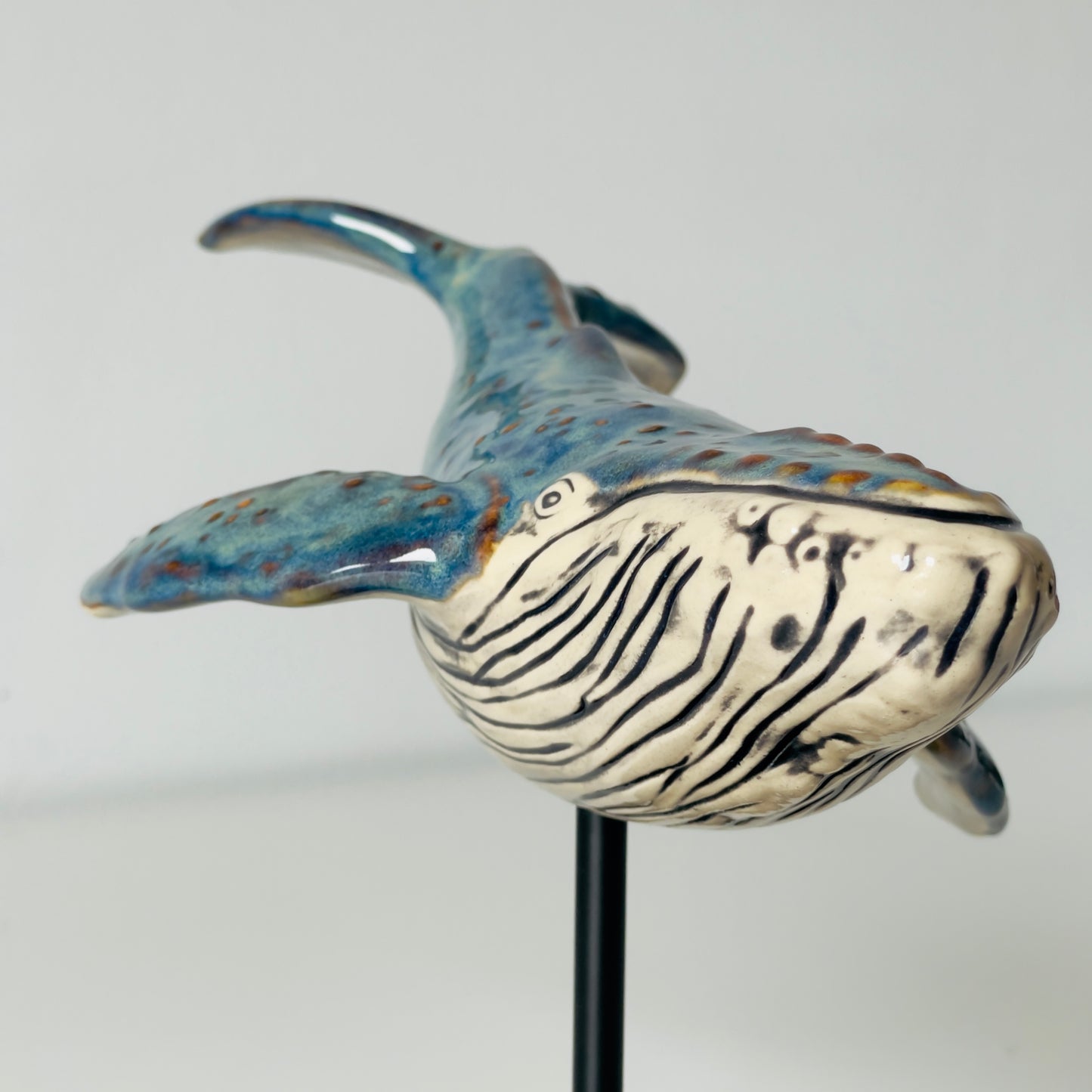 Humpback Whale on a stand