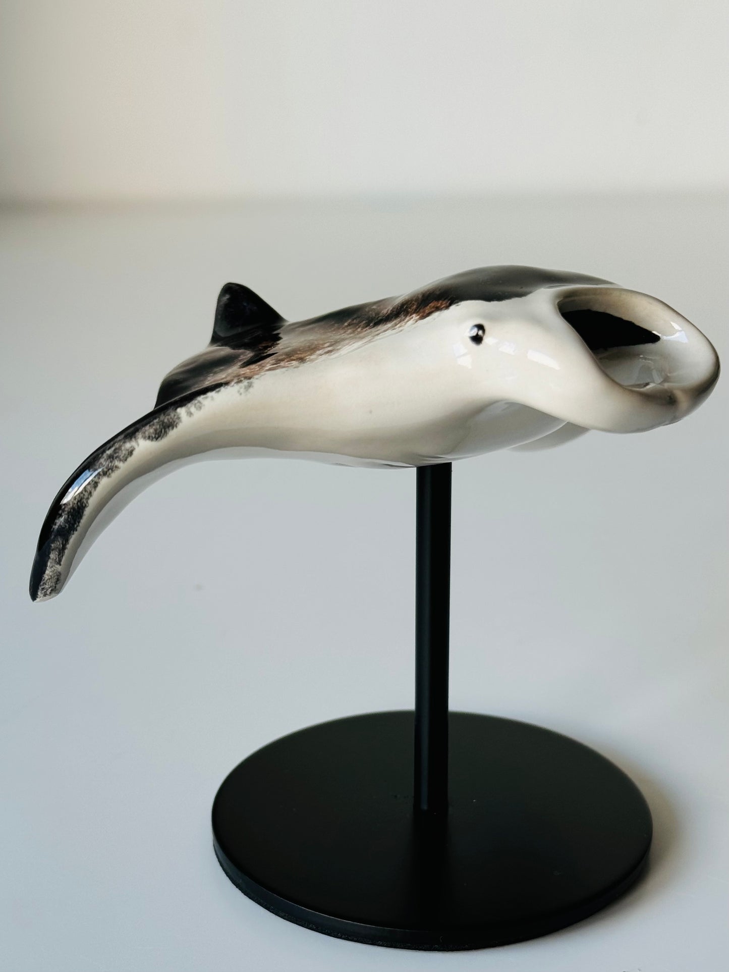 Manta Ray on a stand