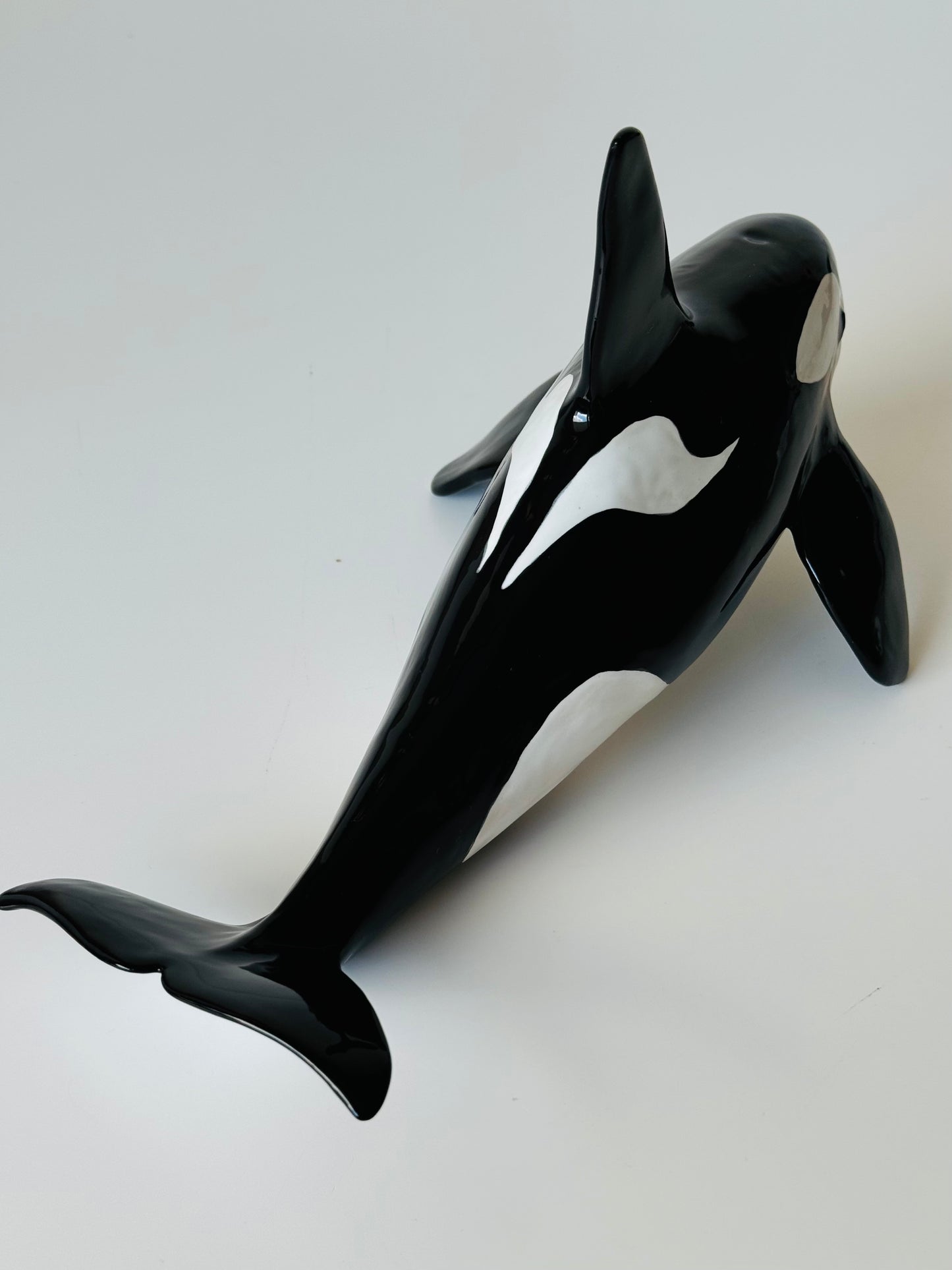 Male Orca