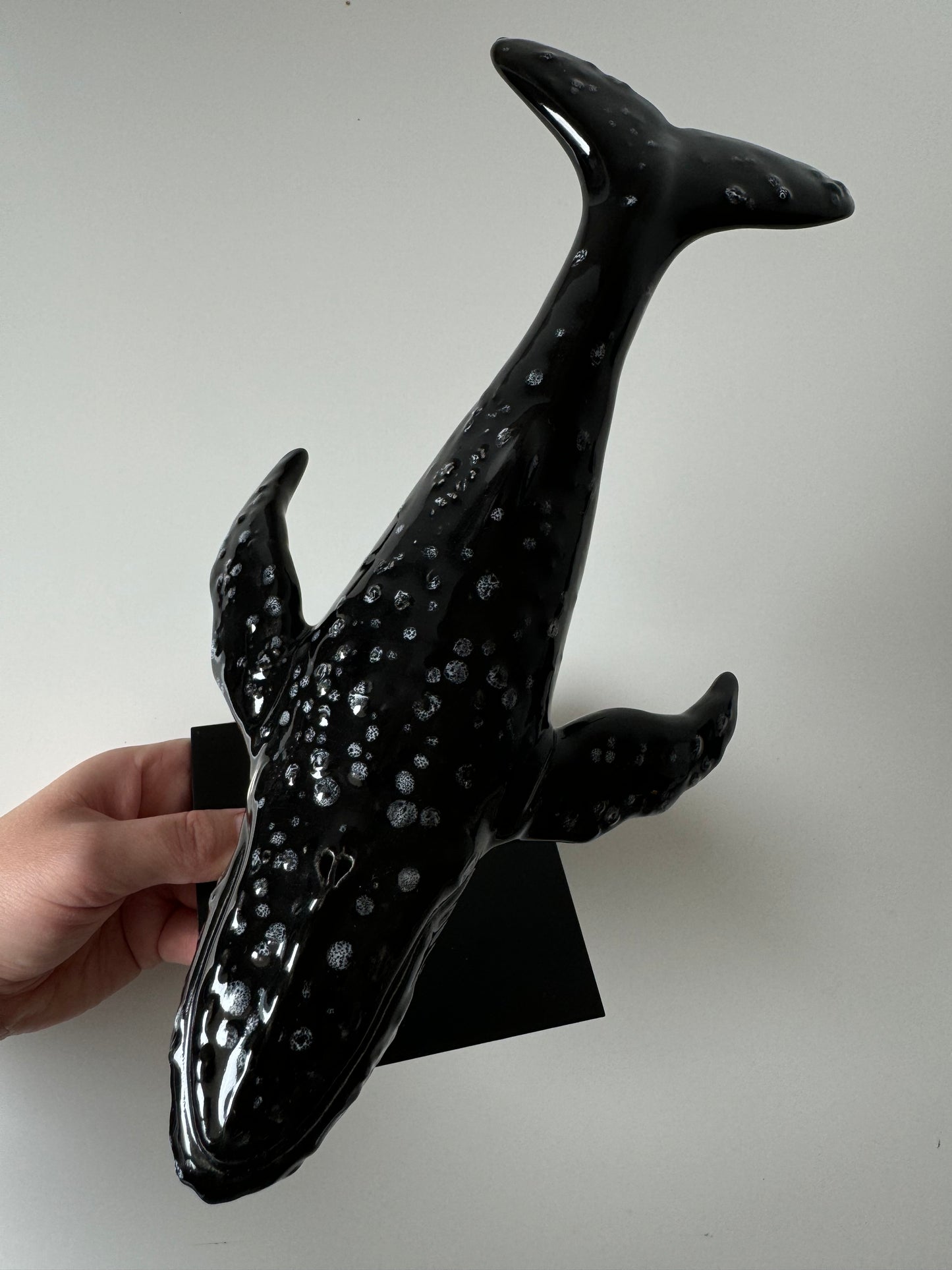 Humpback Whale on a stand