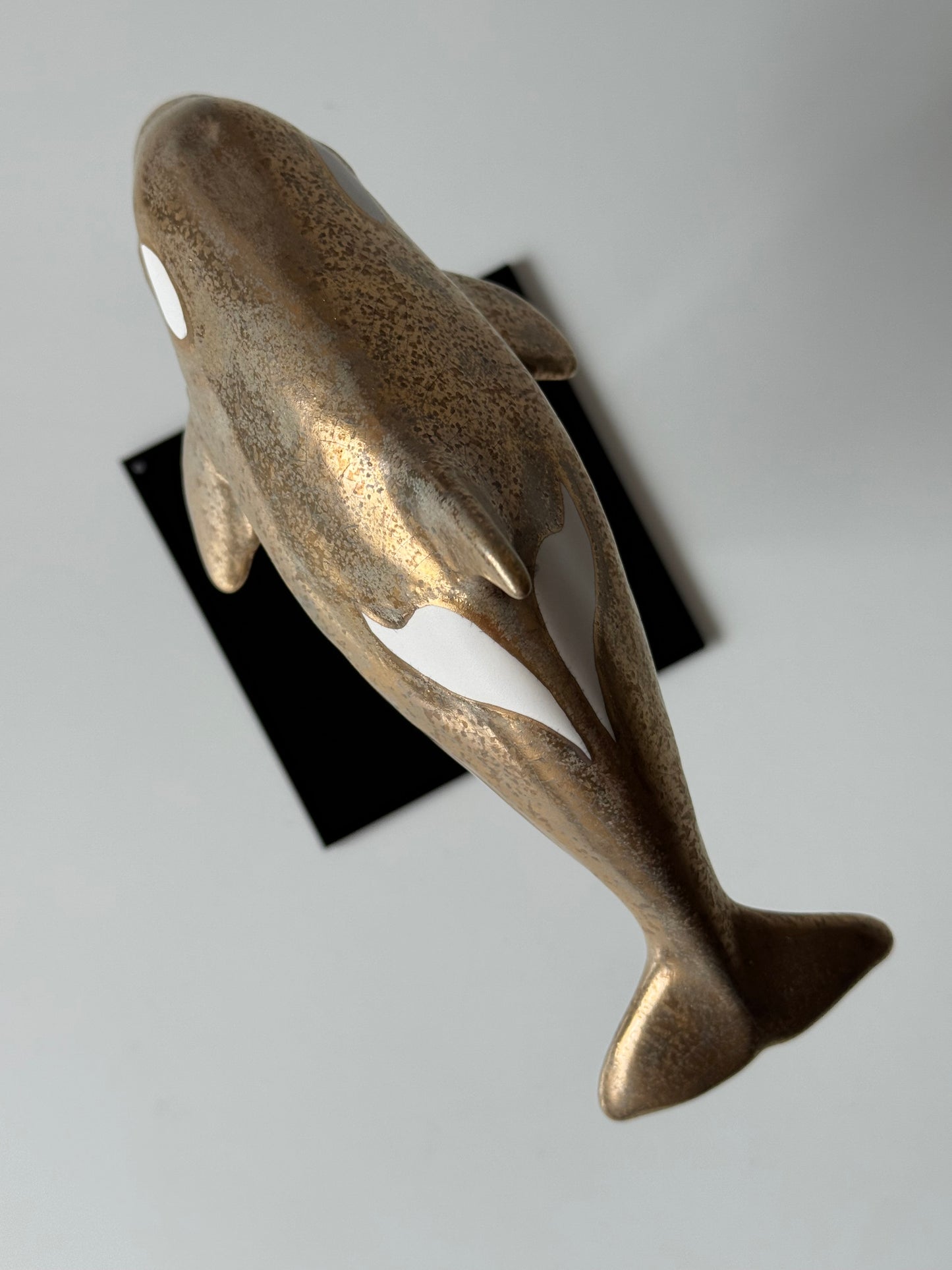 Matte Gold Baby Orca