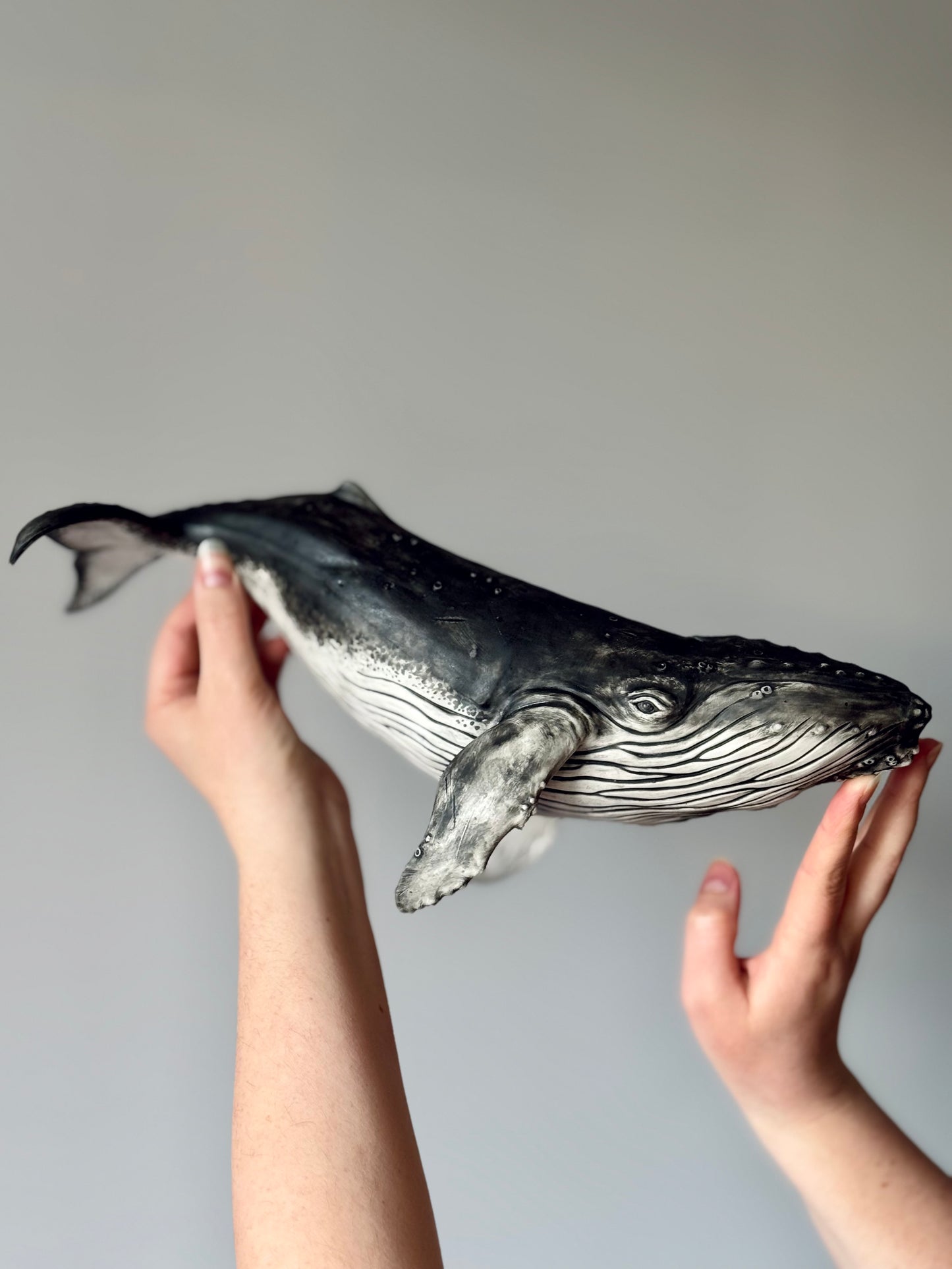 Big Humpback Whale