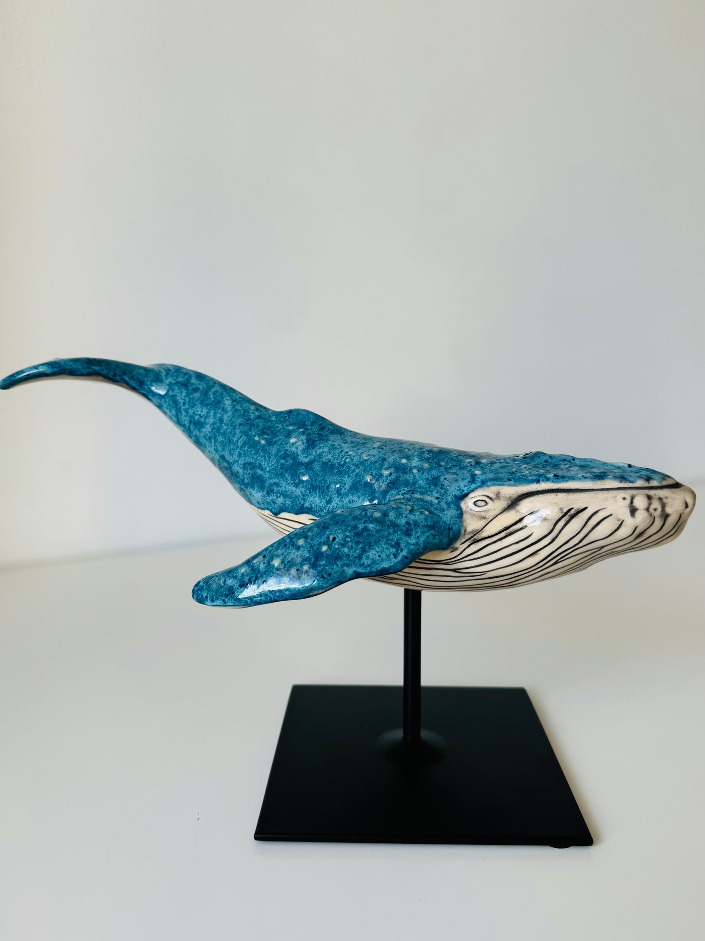 Humpback Whale on a stand