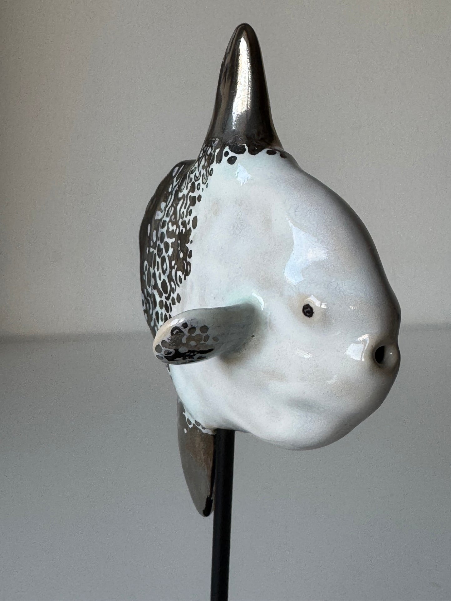 Mola Mola on a metal stand