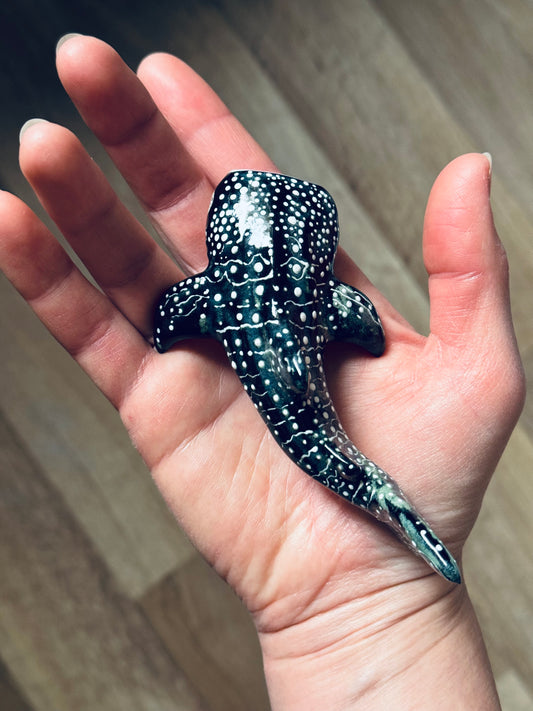 Baby Whale Shark