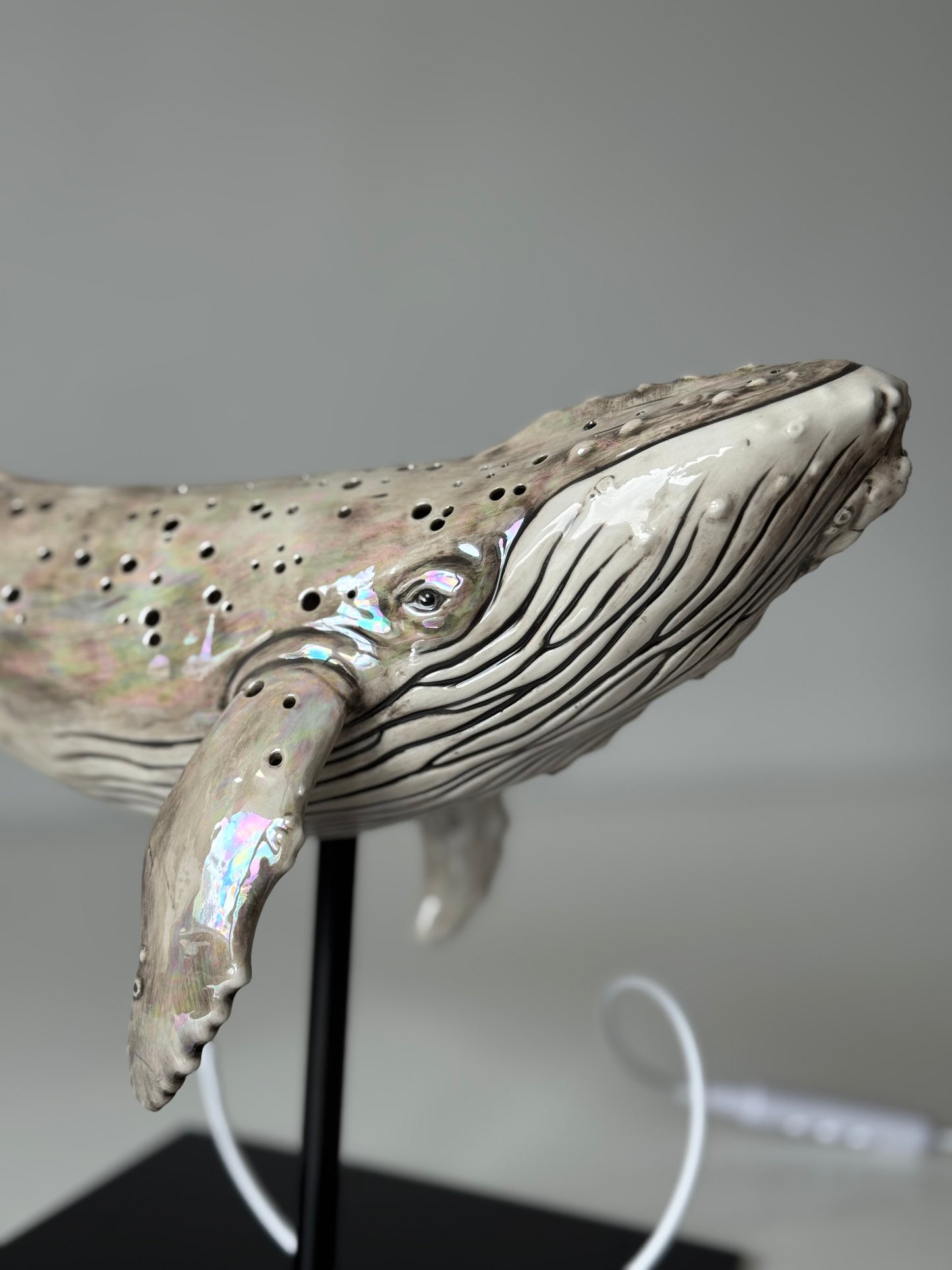 Whale Lamp