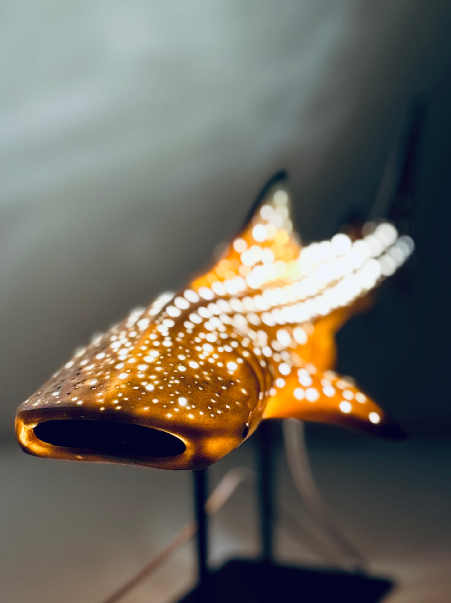 Shark Lamp