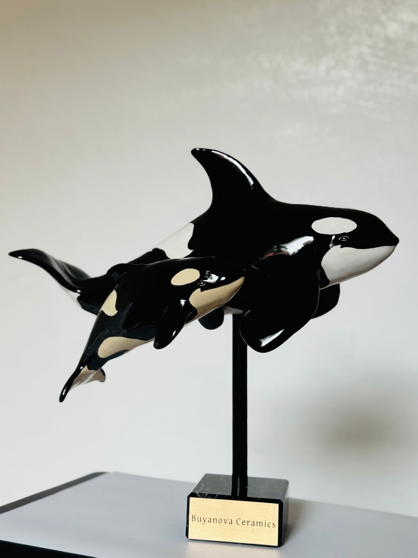 Mother and Calf Orcas
