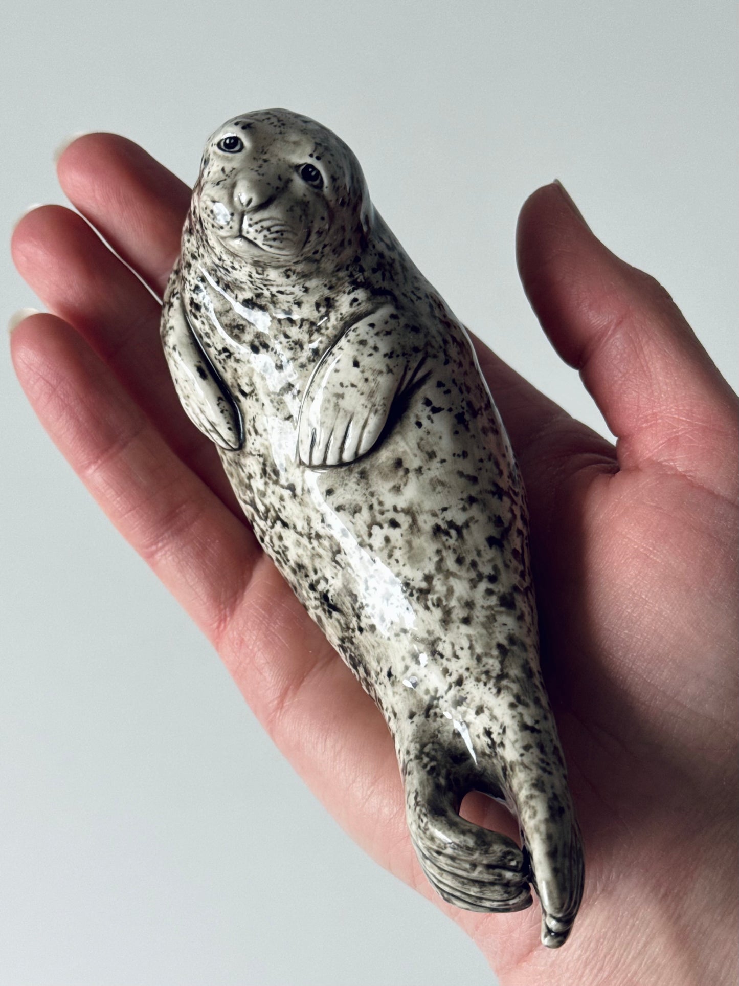 Seal