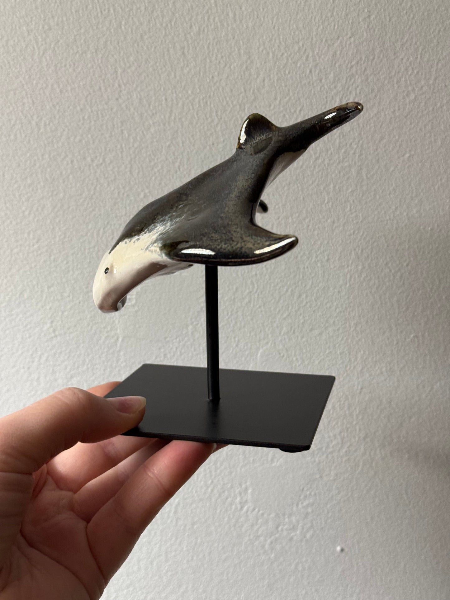 Manta Ray on a stand