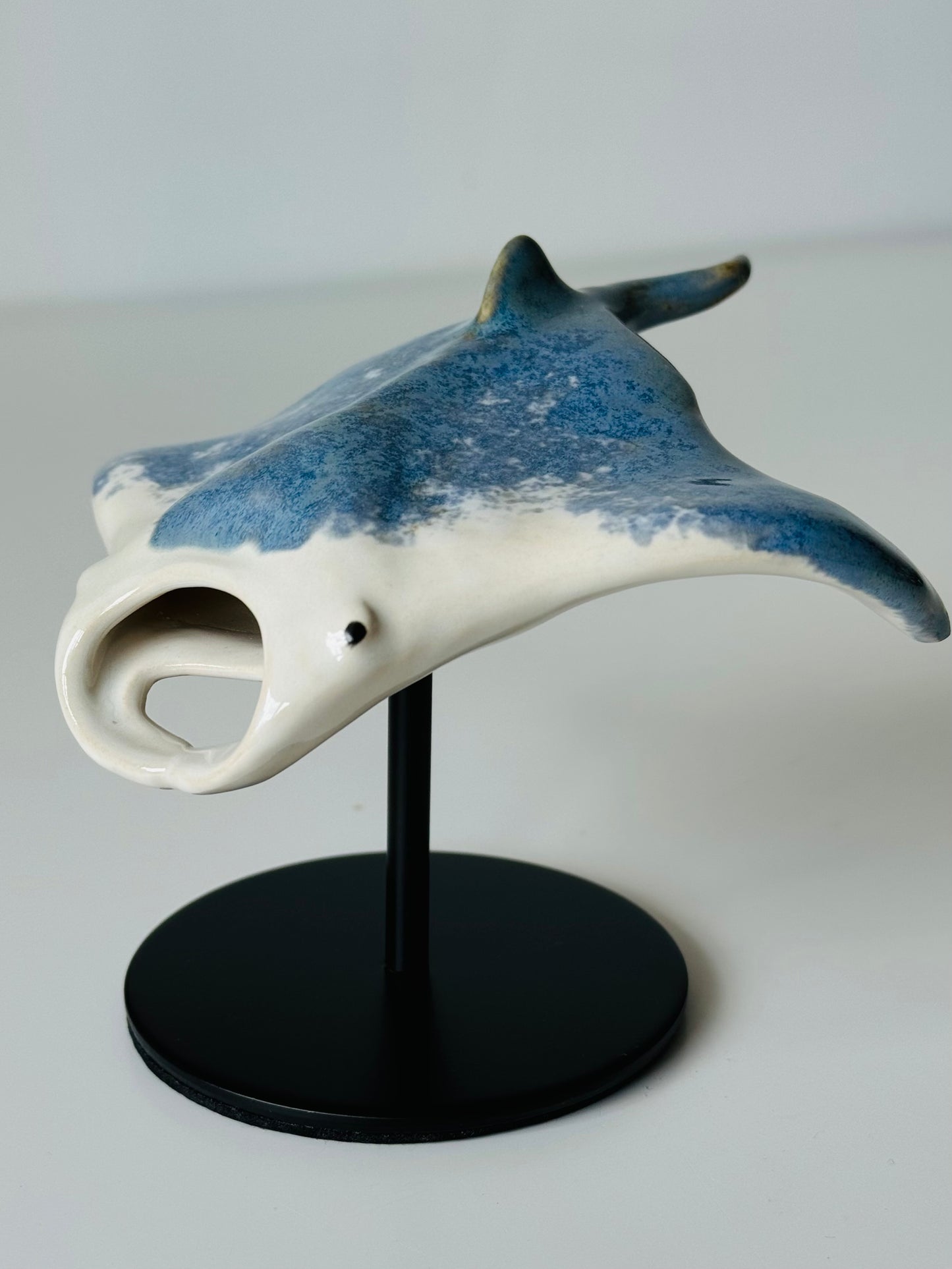 Manta Ray on a stand