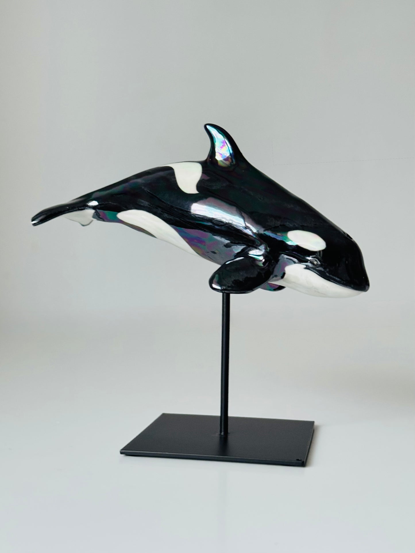 Baby Orca