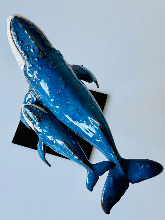 Big Humpback Whale