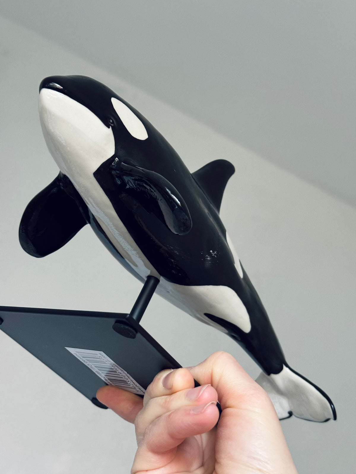 Orca on a stand
