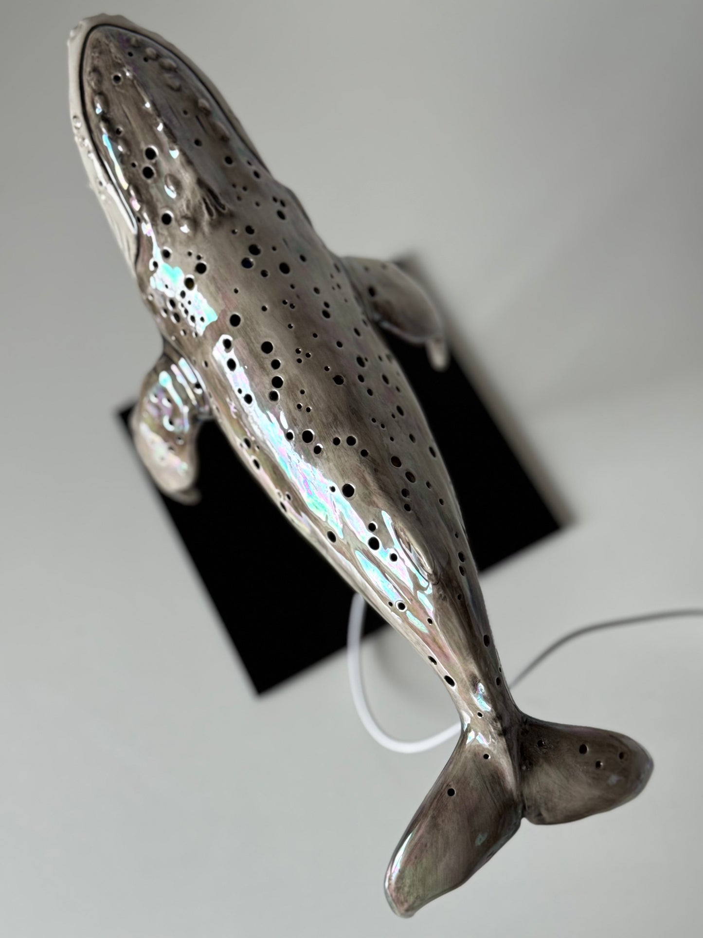 Whale Lamp