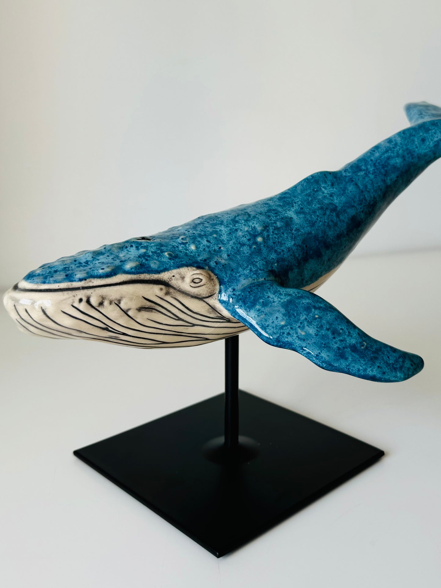 Humpback Whale on a stand