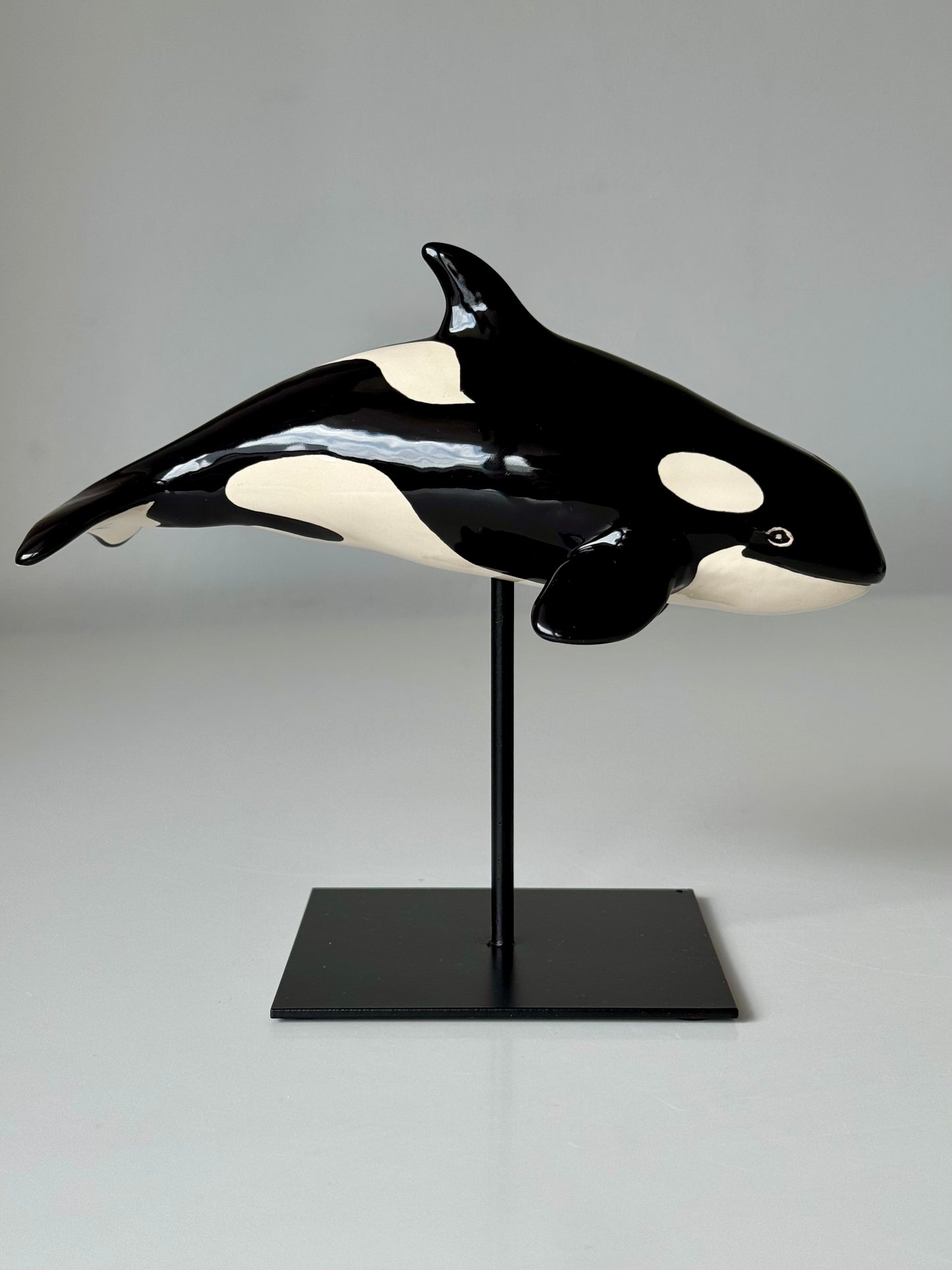 Baby Orca