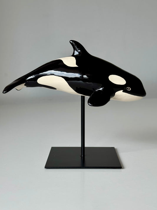 Baby Orca