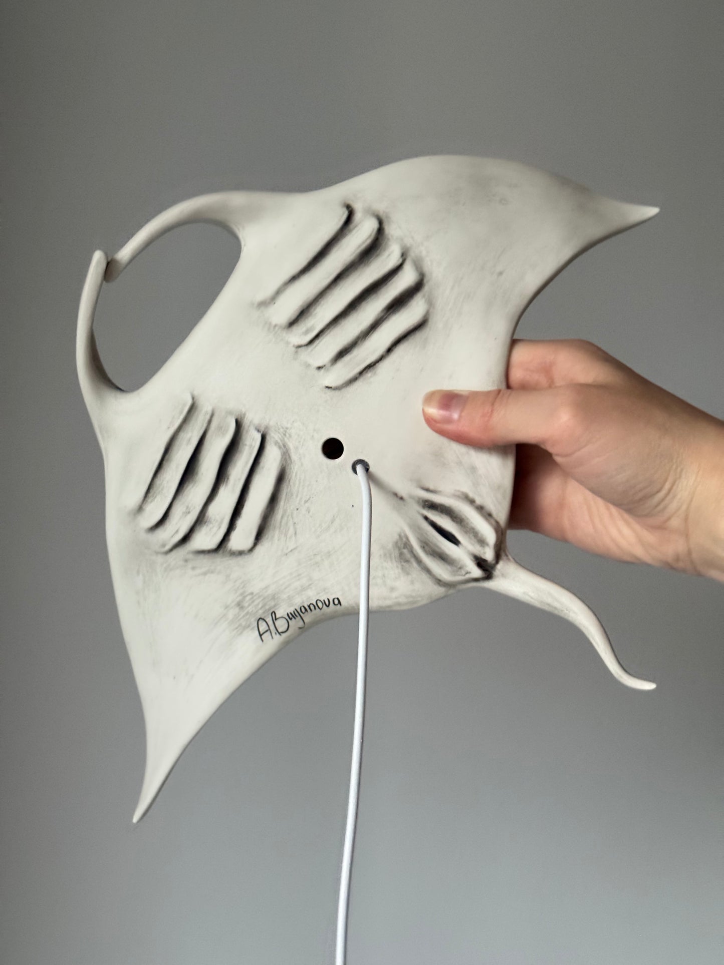 Big Manta Ray