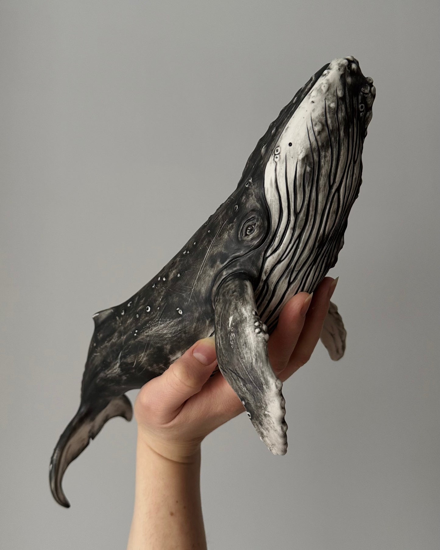 Big Humpback Whale