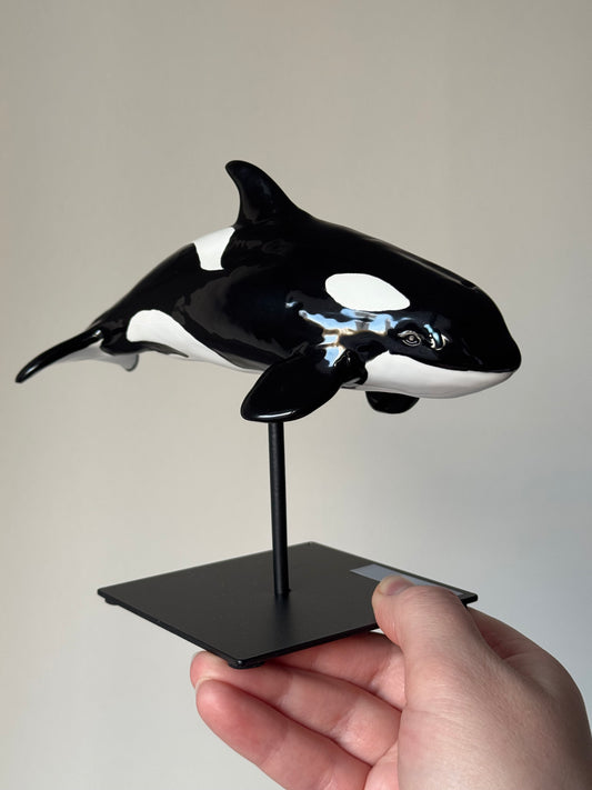 Baby Orca