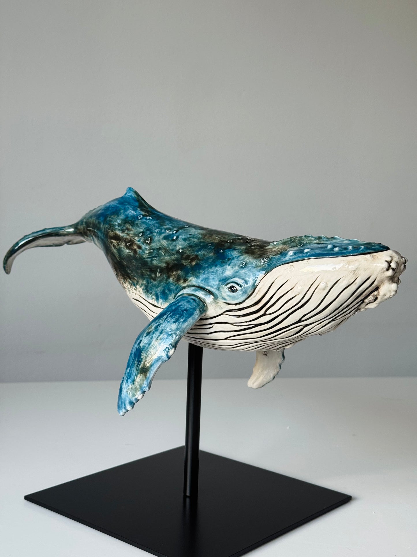 Big Humpback Whale