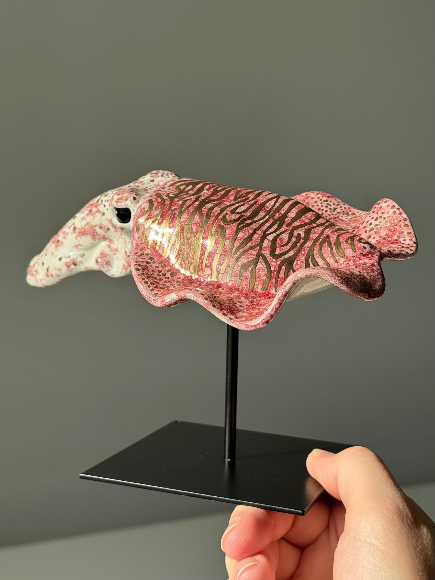 Cuttlefish