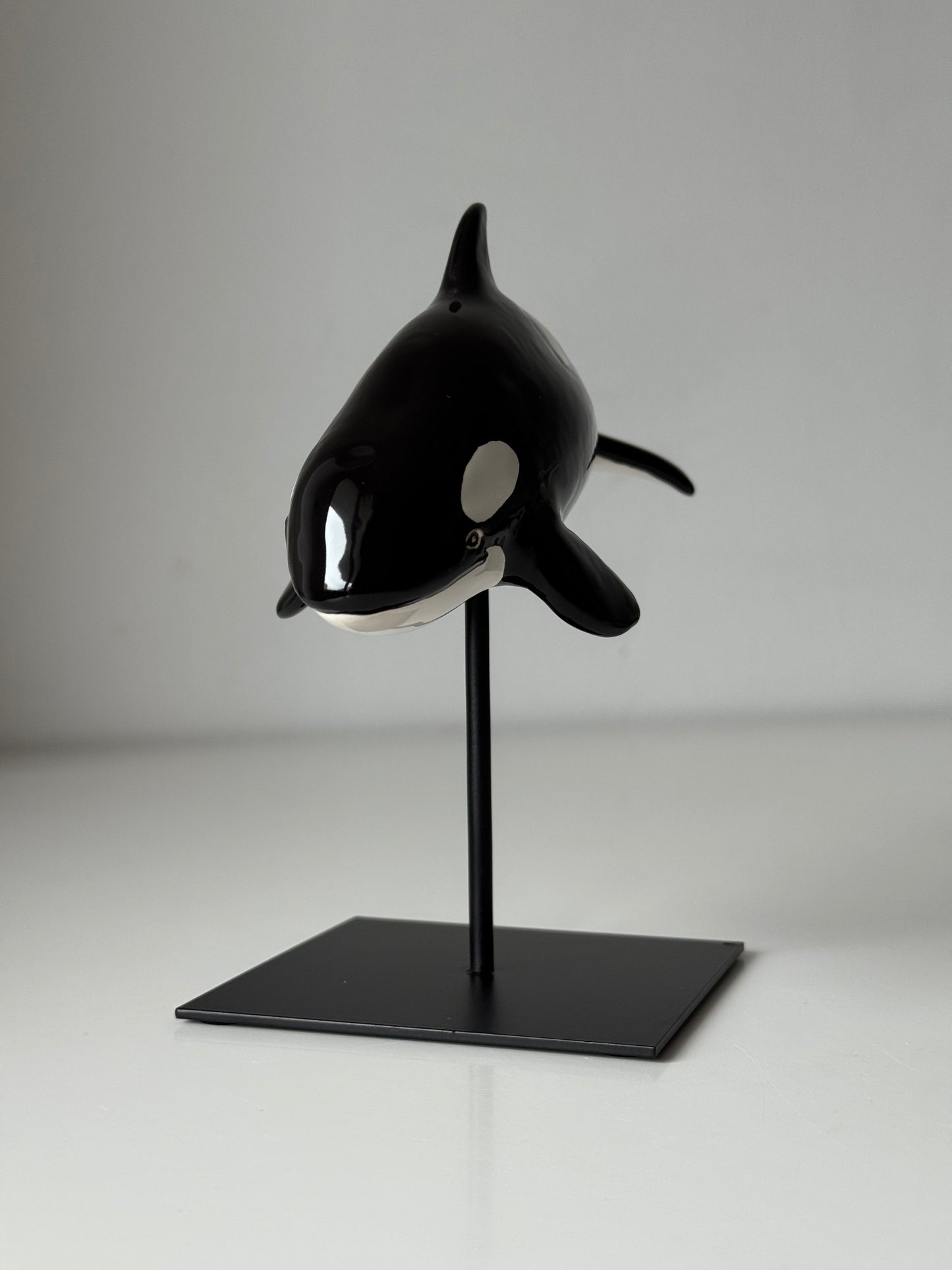Baby Orca