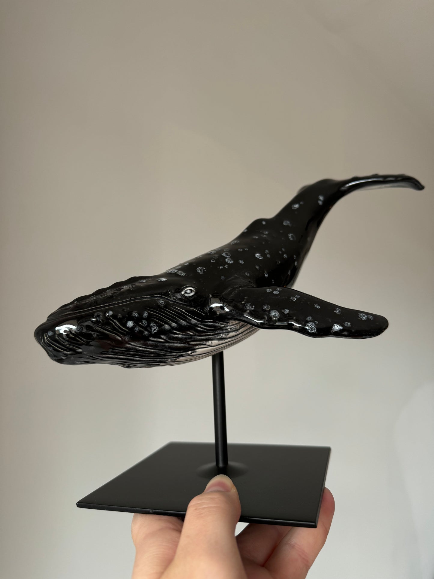 Humpback Whale on a stand