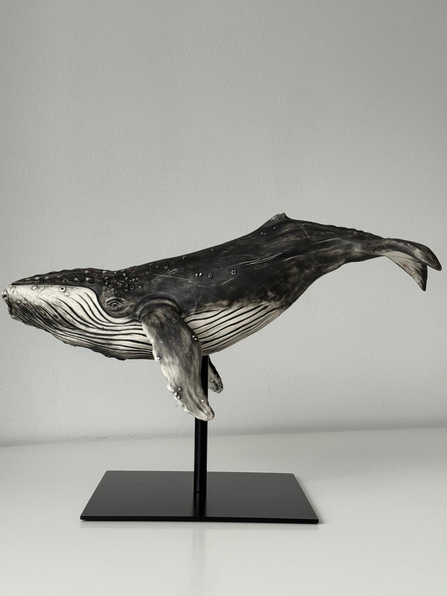 Big Humpback Whale