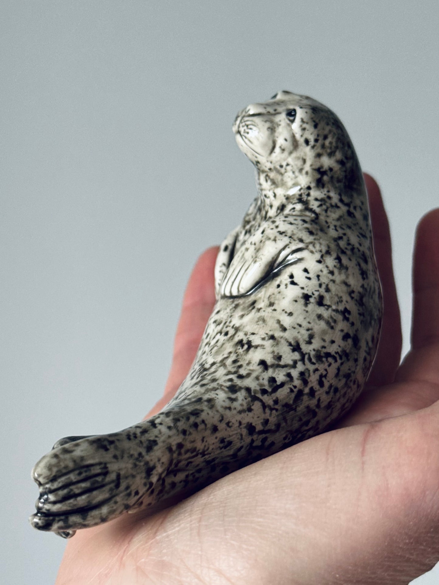 Seal