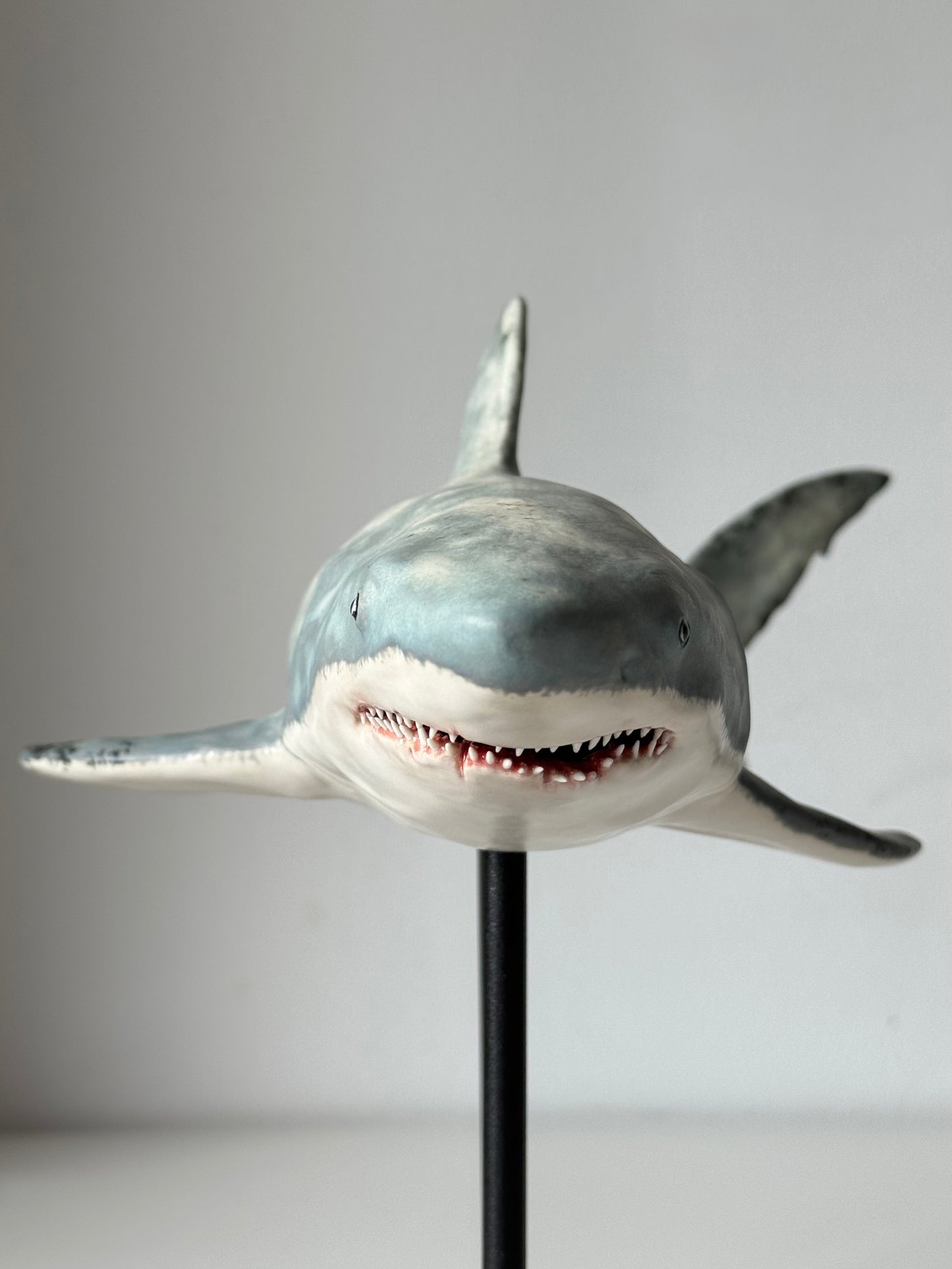 Great White Shark