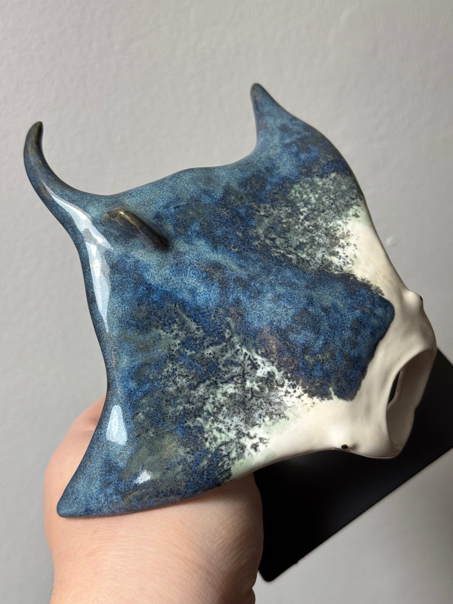 Manta Ray on a stand