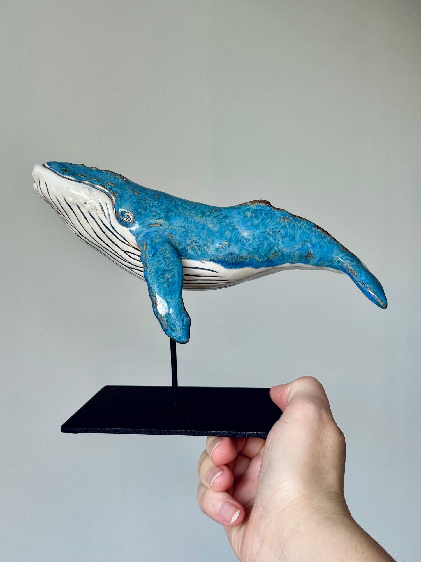 Baby Humpback Whale