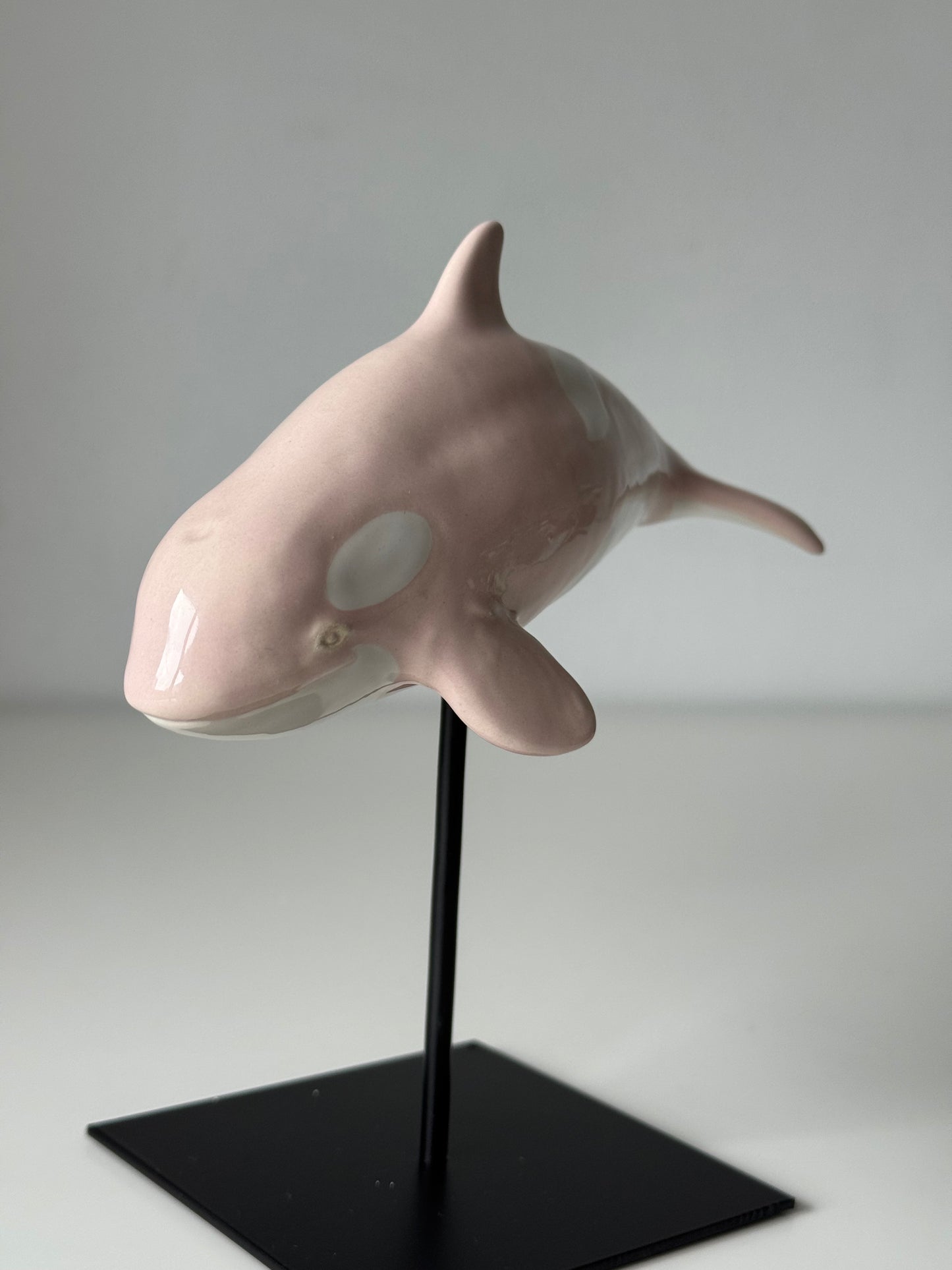 Baby Orca