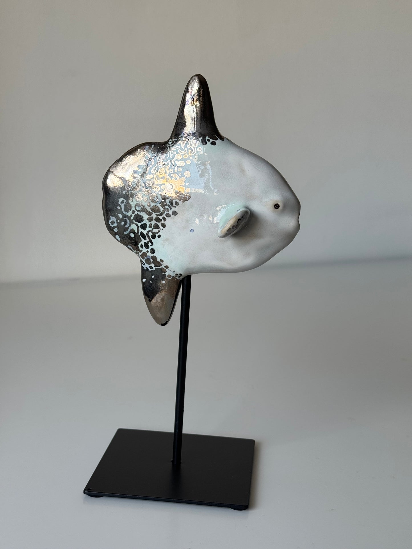 Mola Mola on a metal stand