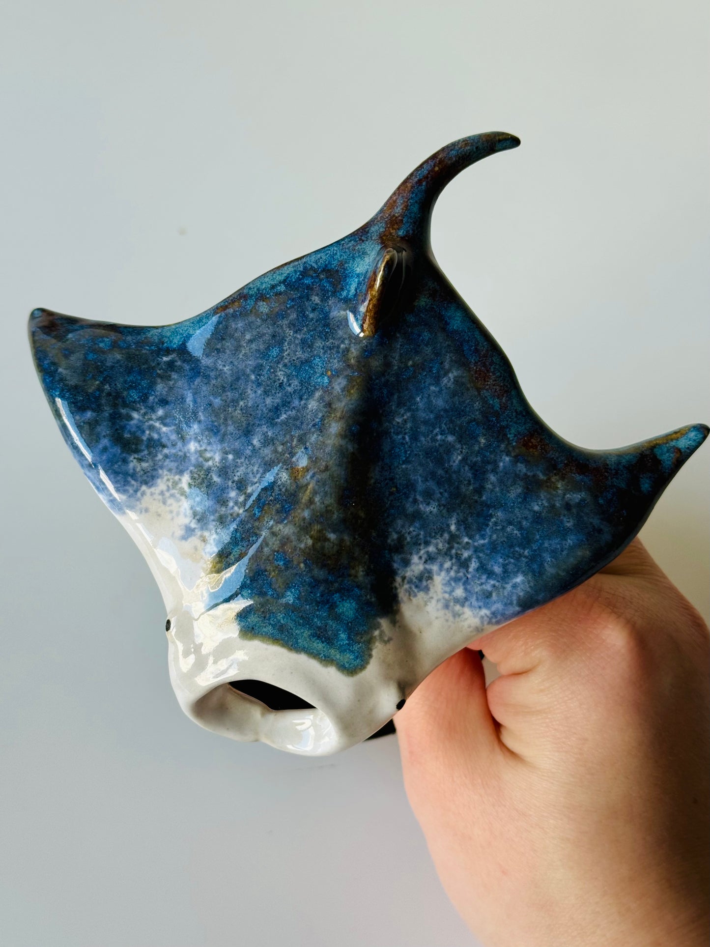 Manta Ray on a stand